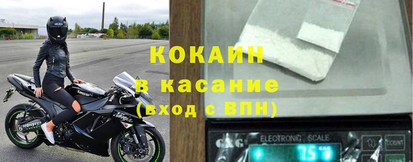 стафф Алексин