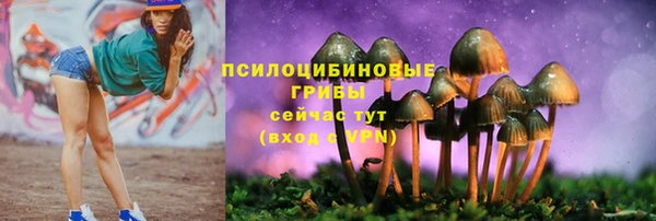 стафф Алексин