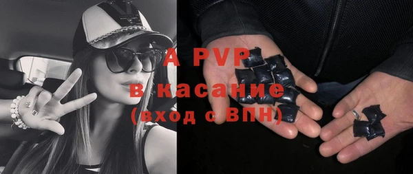 стафф Алексин