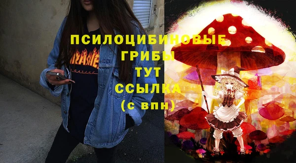 МДПВ Алексеевка