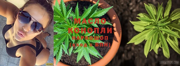 дмт Алзамай