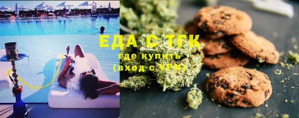 дмт Алзамай