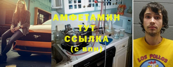 стафф Алексин